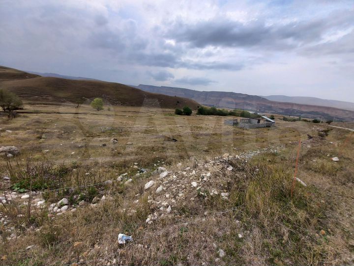 Участок 2,5 сот. (СНТ, ДНП)