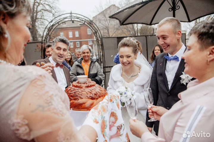 Ведущий тамада на свадьбу