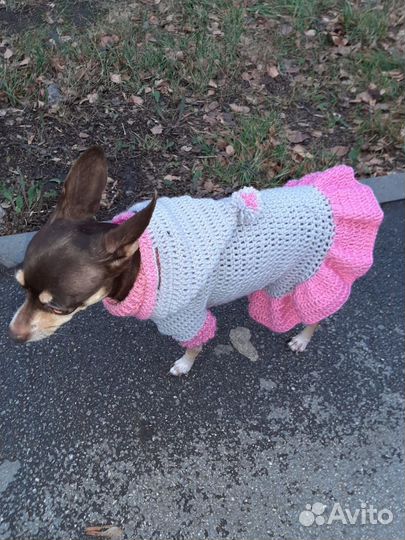 Вяжу на заказ игрушки, одежда для собак и кошек