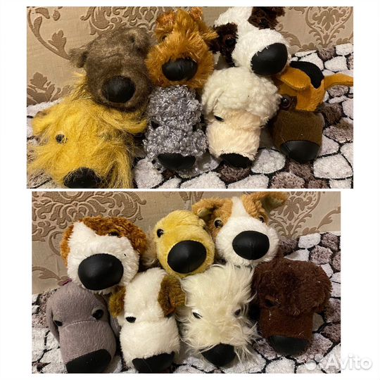 The dog and cat collection