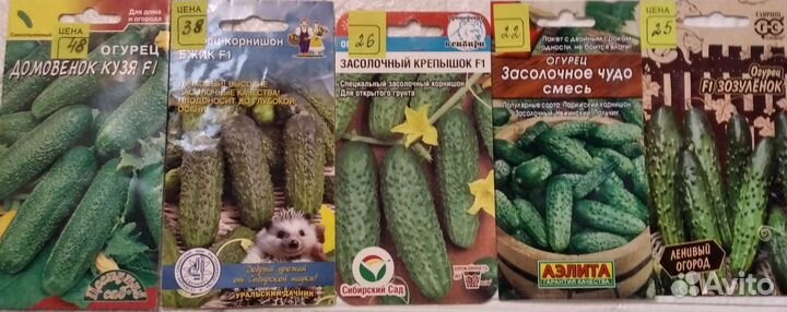 Семена огурцов