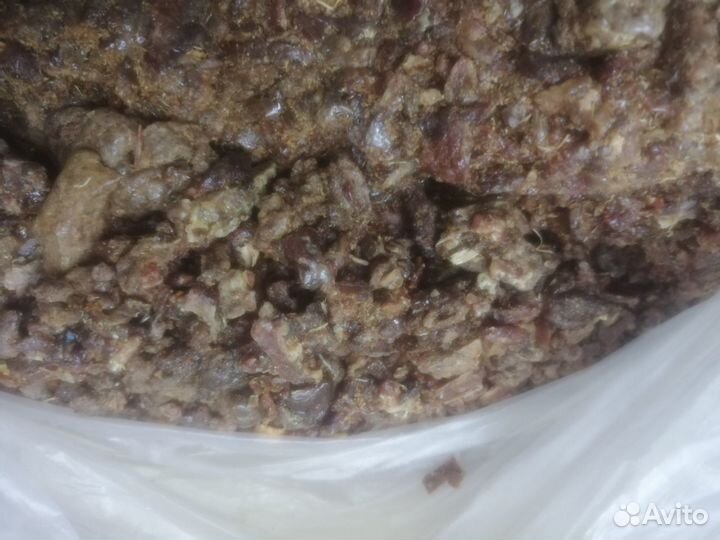 Перга, пыльца, мед, прополис, пжвм, восковая моль