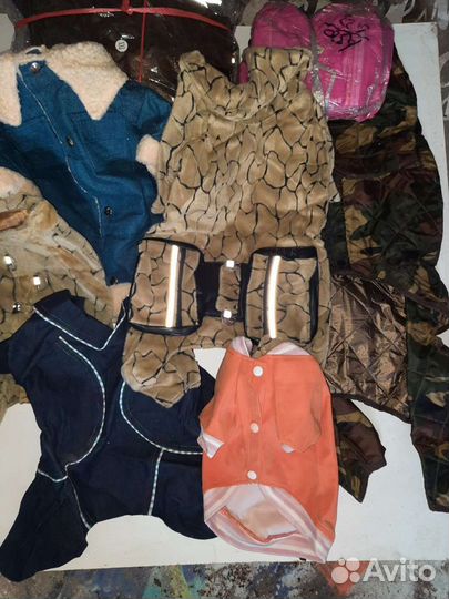 Одежда для собак