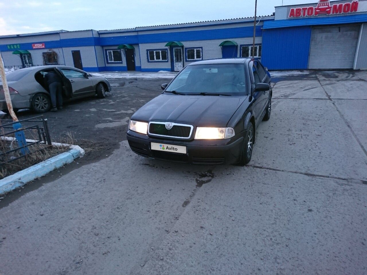 Skoda Octavia: фото владельца