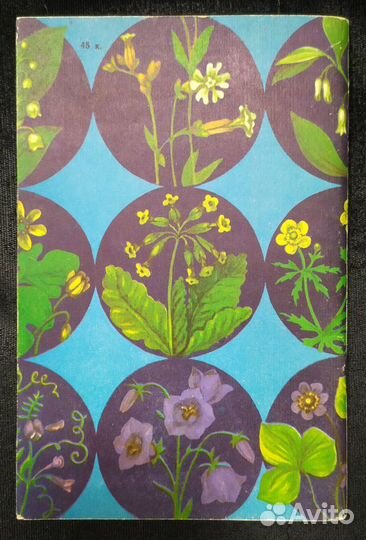 Книга. Декоративные теневыносливые растения садов