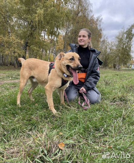 Помогите Жаку стать домашним