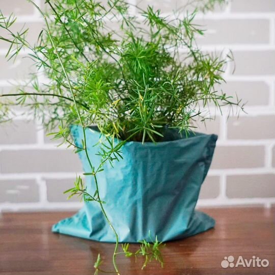 Сумка(пакет), аквабокс для транспортировки цветов