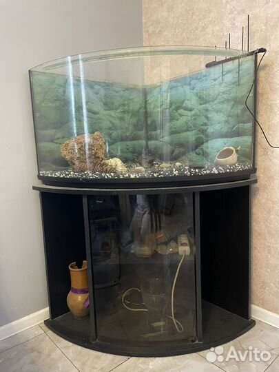 Аквариум