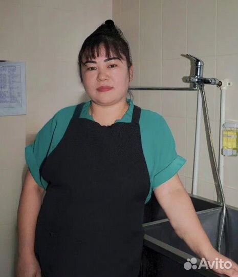 Кухонный работник с ежедневной оплатой