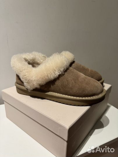 Thomas munz угги