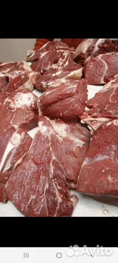 Предлагаем мясо говядина