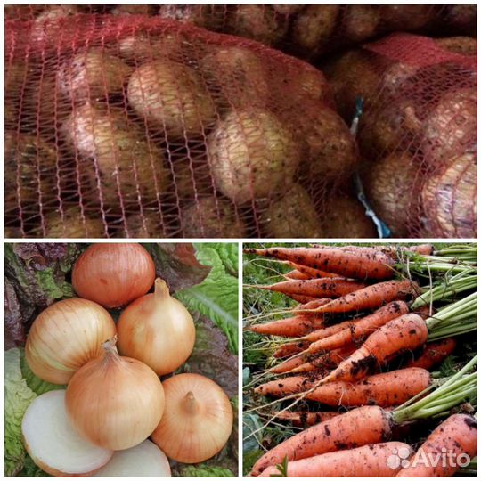 Картофель,репчатый лук