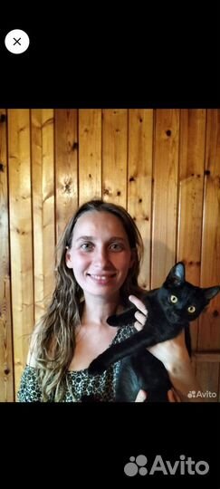 Передержка