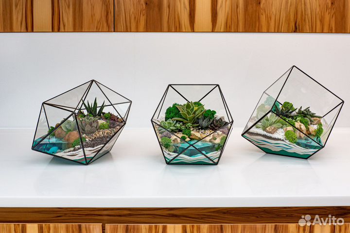 Флорариумы на заказ и в наличии
