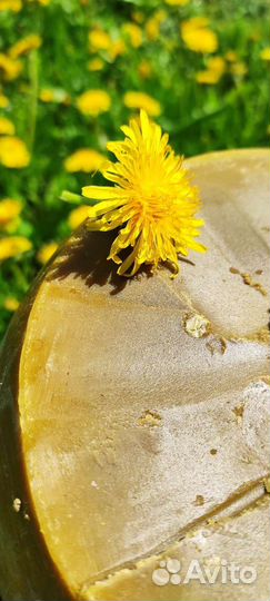 Воск пчелиный