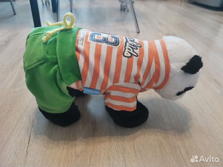 Костюм для маленькой собачки