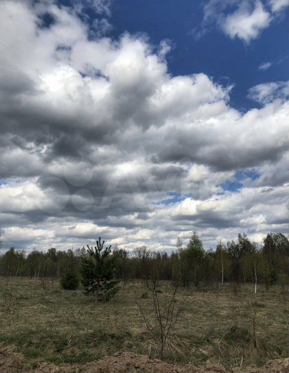 Участок 15 сот. (ИЖС)