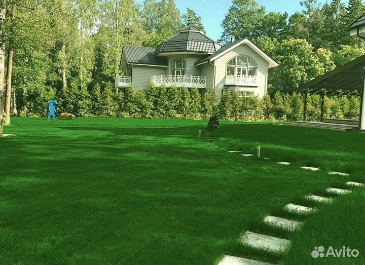 Рулонный газон