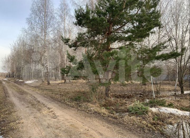 Участок 9 сот. (СНТ, ДНП)