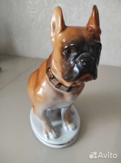 Фарфоровая Собака