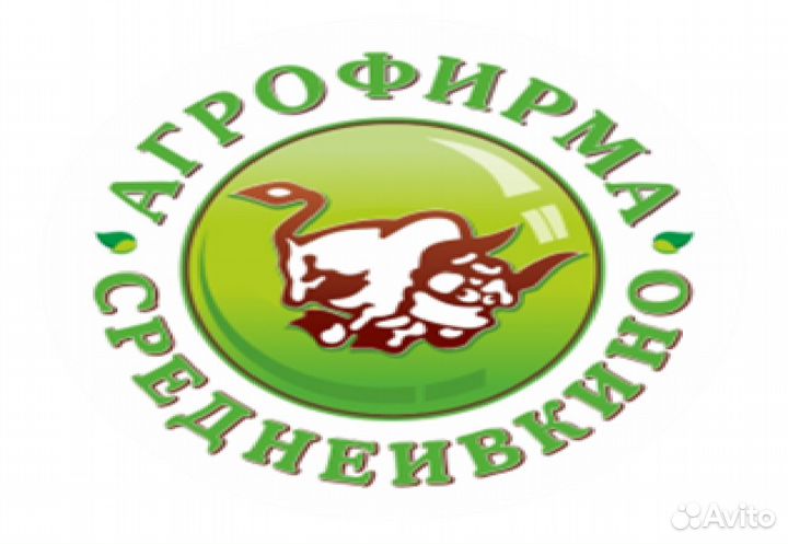 Оператор машинного доения
