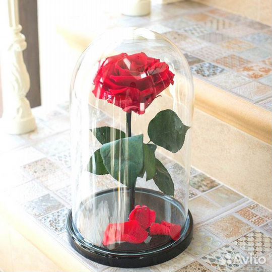 Розы в колбе любые