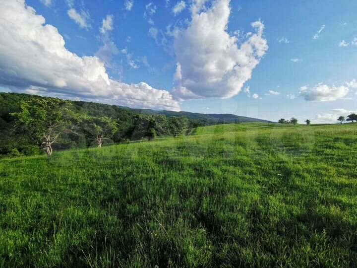 Участок 5,24 га (СНТ, ДНП)