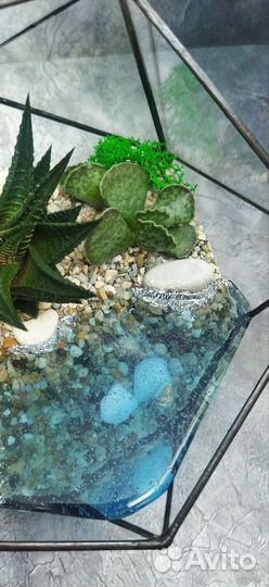 Флорариум с суккулентами и водоëмом