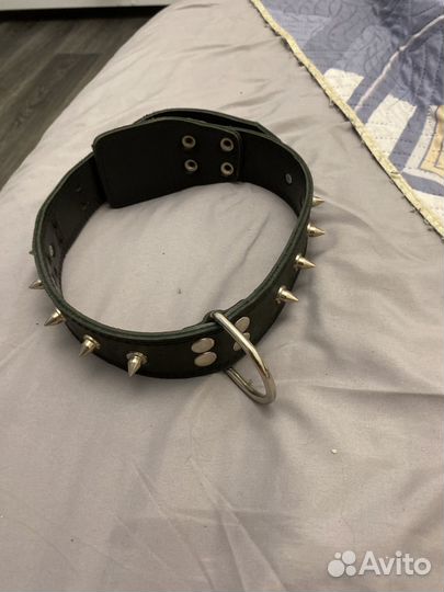 Ошейник для собак кожаный с шипами