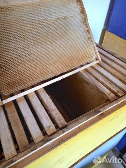 Ульи дадан,суш