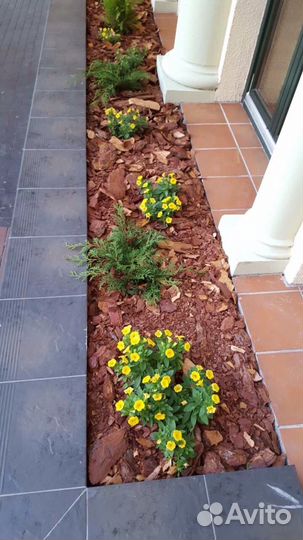 Кора лиственницы. Мульча. Щепа