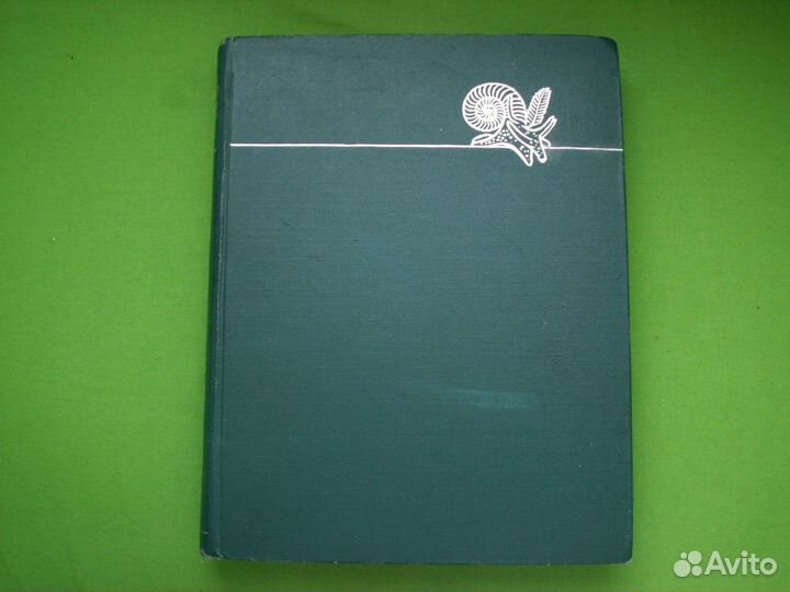 Жизнь животных