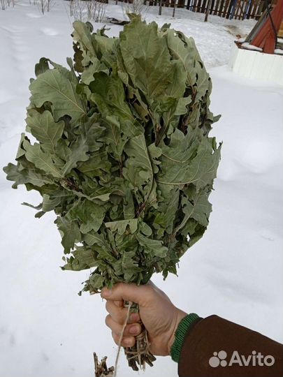 Веники для бани