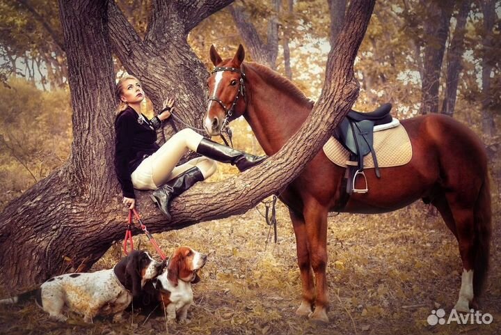 Самая красивая Фотосессия