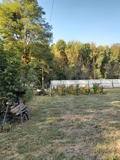 Участок 22 сот. (СНТ, ДНП)