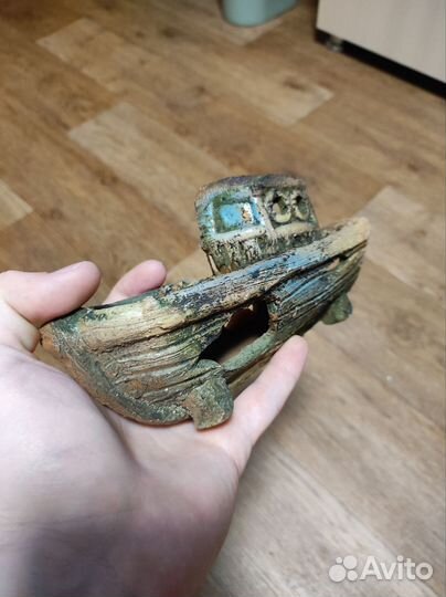 Улитки Хелены