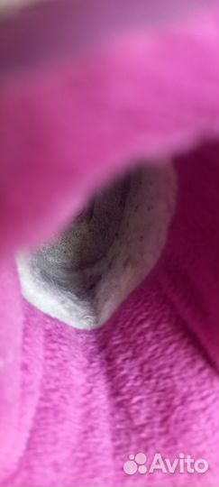 Сапоги зимние для девочки 25 размер