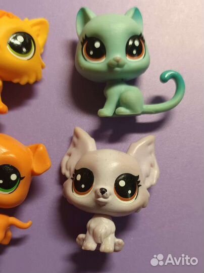 Littlest Pet Shop