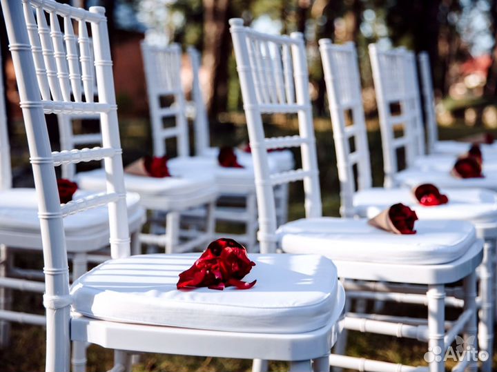 Аренда стульев