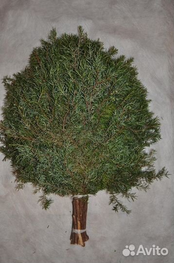 Веники банные