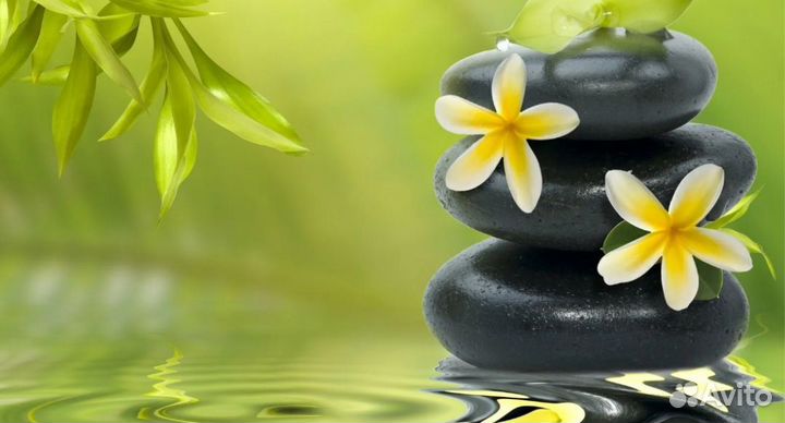 Фармацевт в частную аптеку