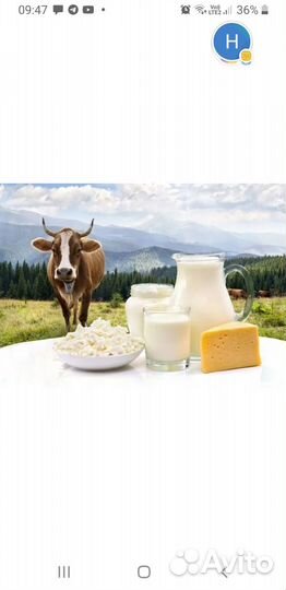 Молочные продукты