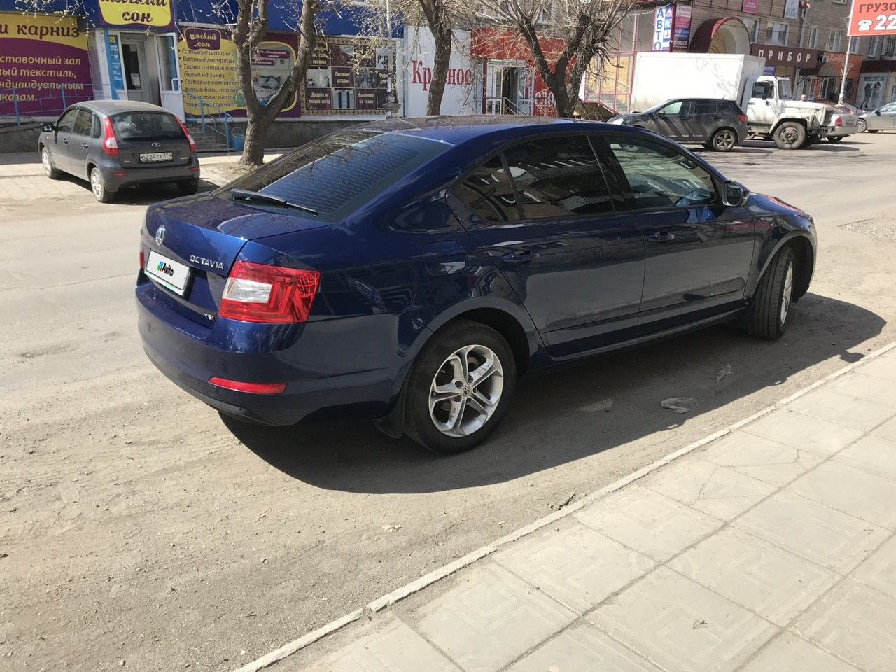 Skoda Octavia: фото владельца