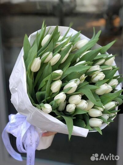 Тюльпаны на 8 марта