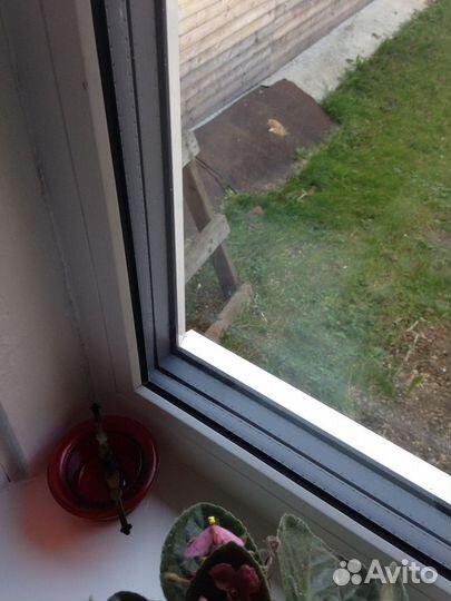 Пластиковые окна