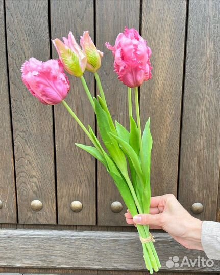 Тюльпаны махровые