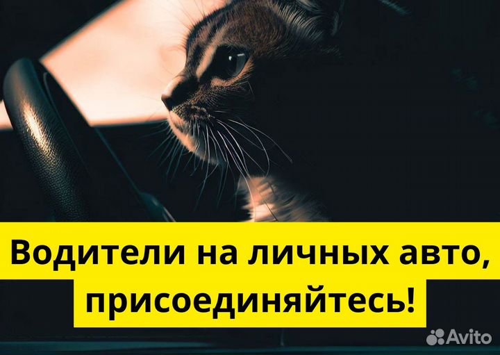 Личный транспорт и работа в Яндекс.Go