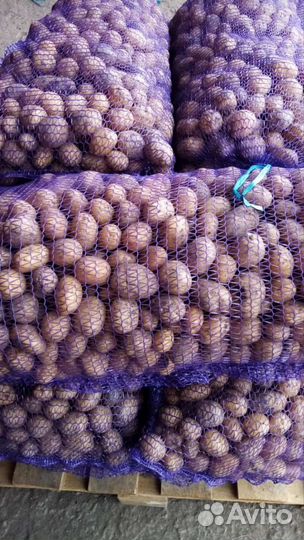 Доставка свежих овощей