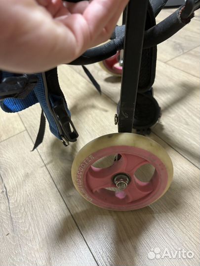 Инвалидная коляска для собак