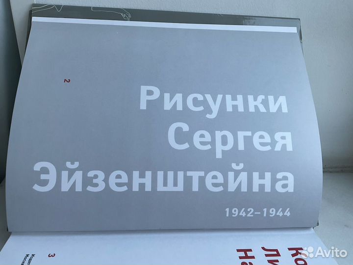 Книга Рисунки Сергея Эйзенштейна